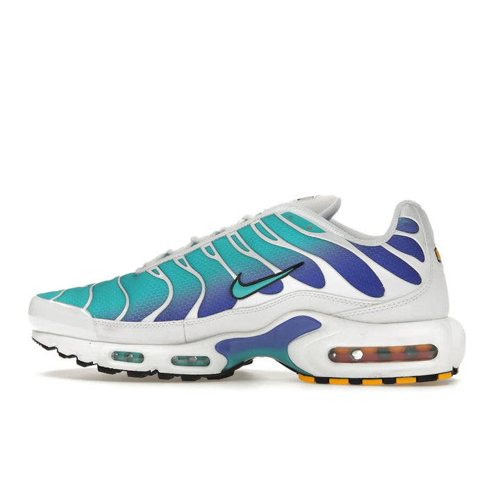 Nike Air Max Plus Aqua