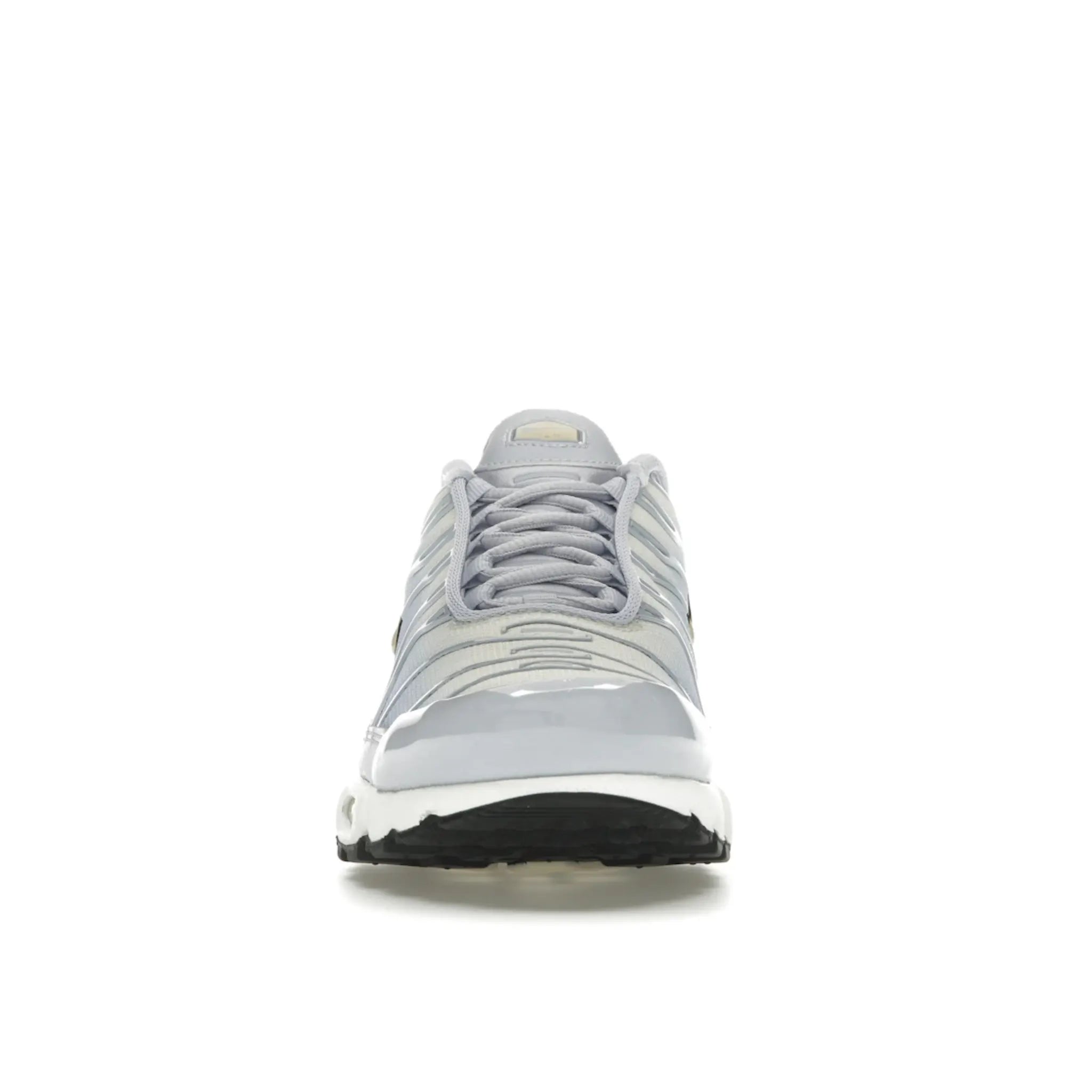 Nike Air Max Plus Daybreak (Women's)