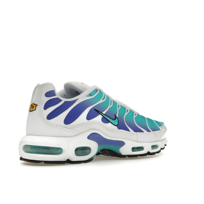 Nike Air Max Plus Aqua