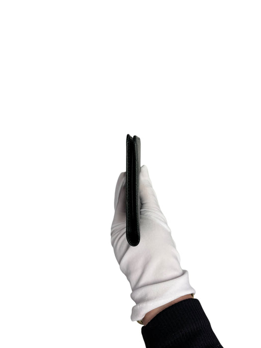 Louis Vuitton Taiga Leather Brazza Long Wallet