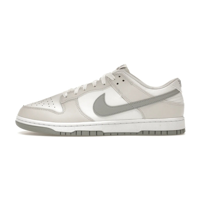 Nike Dunk Low Retro Summit White Light Smoke Grey