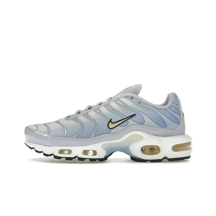 Nike Air Max Plus Daybreak (Women's)