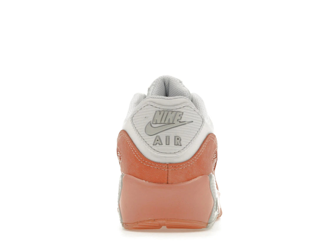 Nike Air Max 90 Leather Rainbow Salmon (GS)