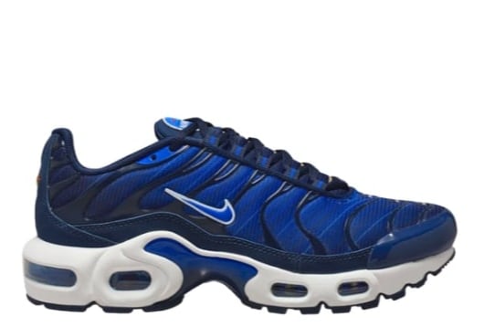 Nike Air Max Plus SE Lyon Blue (GS)